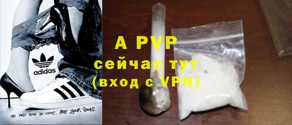 спиды Абаза