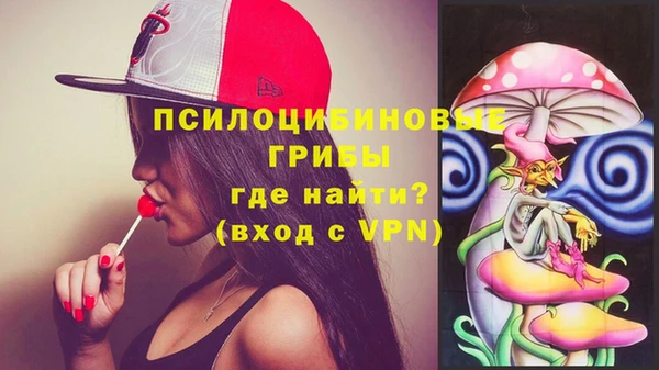 ГАЛЛЮЦИНОГЕННЫЕ ГРИБЫ Абдулино