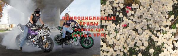спиды Абаза